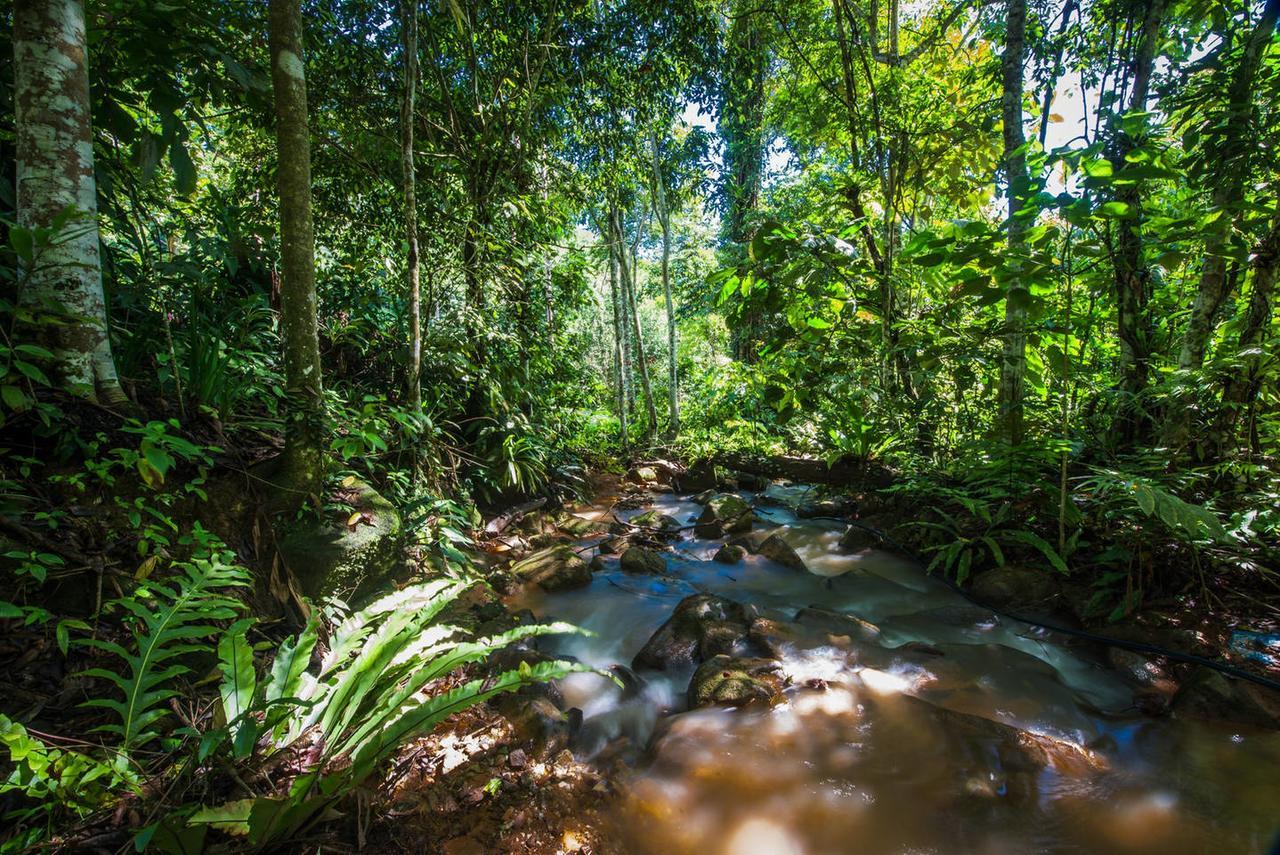 Rest Pause Rainforest Retreat Bentong Exterior foto