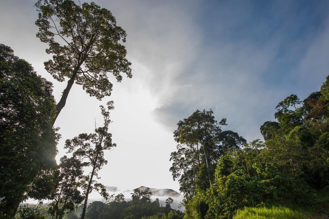 Villa Rest Pause Rainforest Retreat Bentong Exterior foto