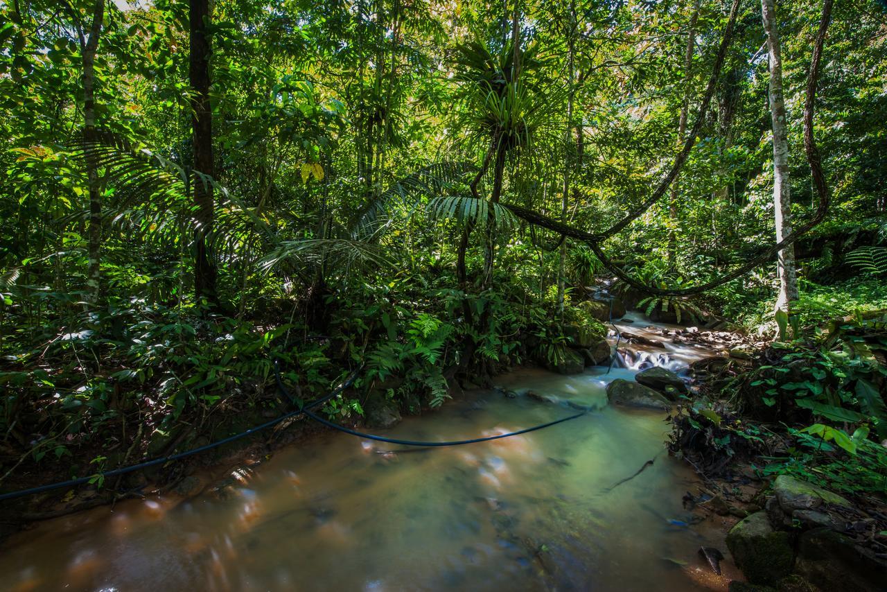 Villa Rest Pause Rainforest Retreat Bentong Exterior foto