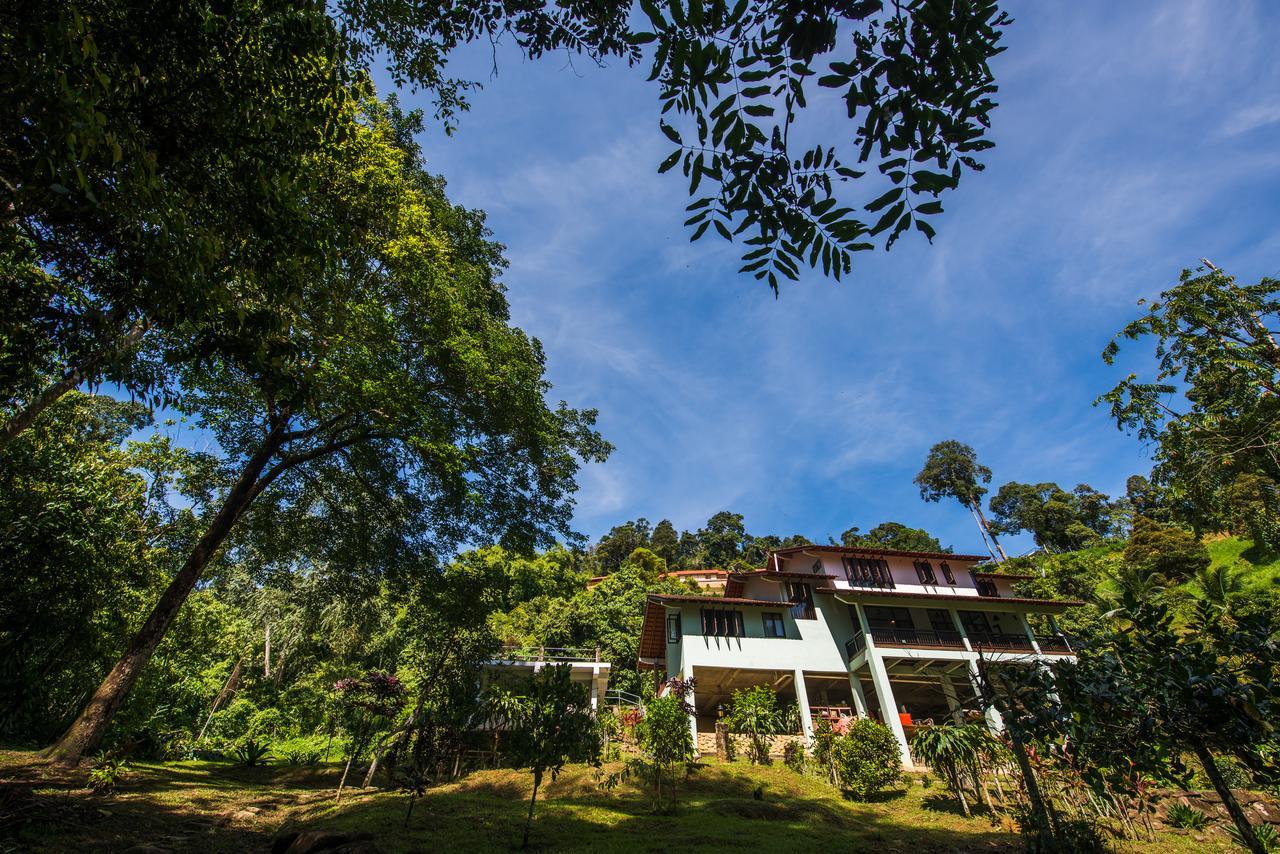 Villa Rest Pause Rainforest Retreat Bentong Exterior foto