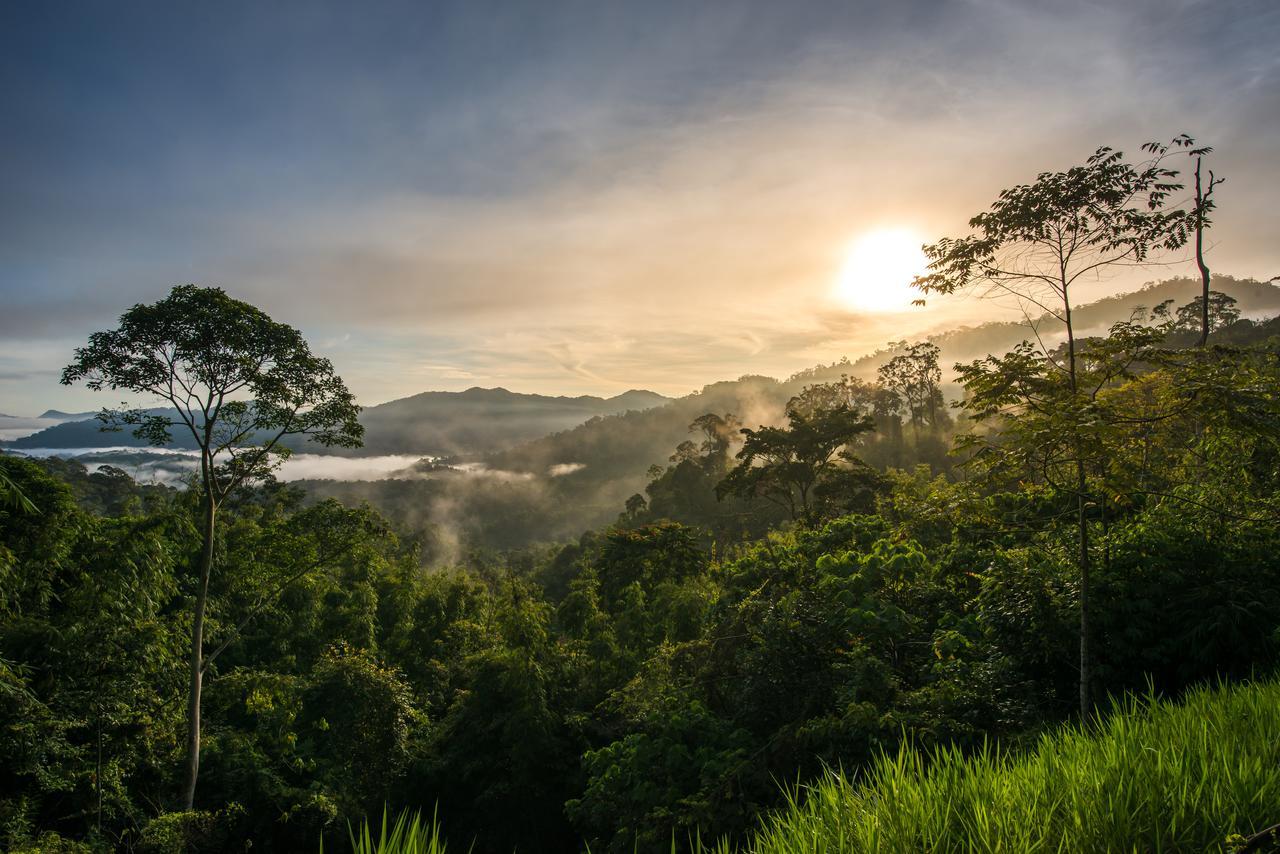 Villa Rest Pause Rainforest Retreat Bentong Exterior foto