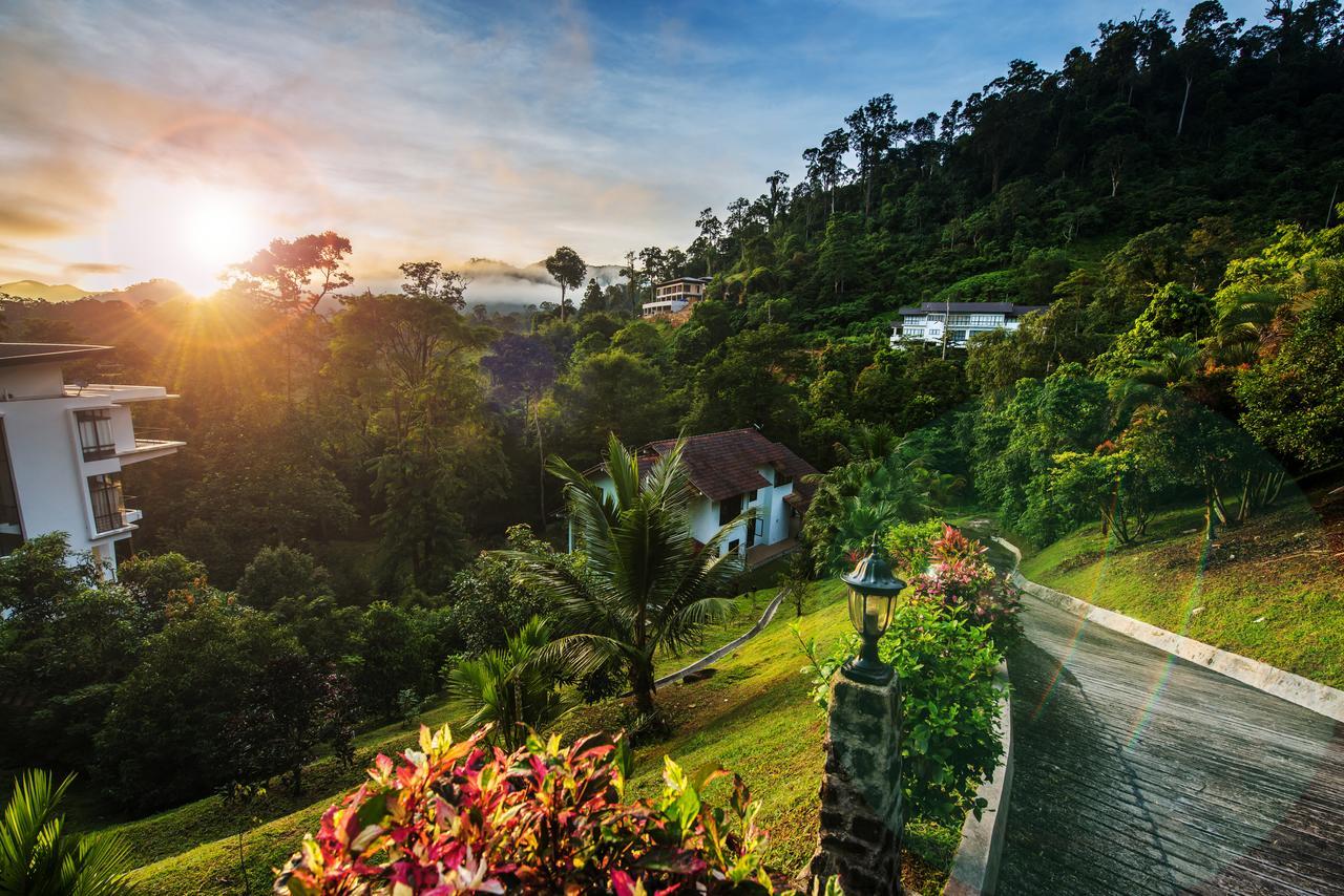 Rest Pause Rainforest Retreat Bentong Exterior foto