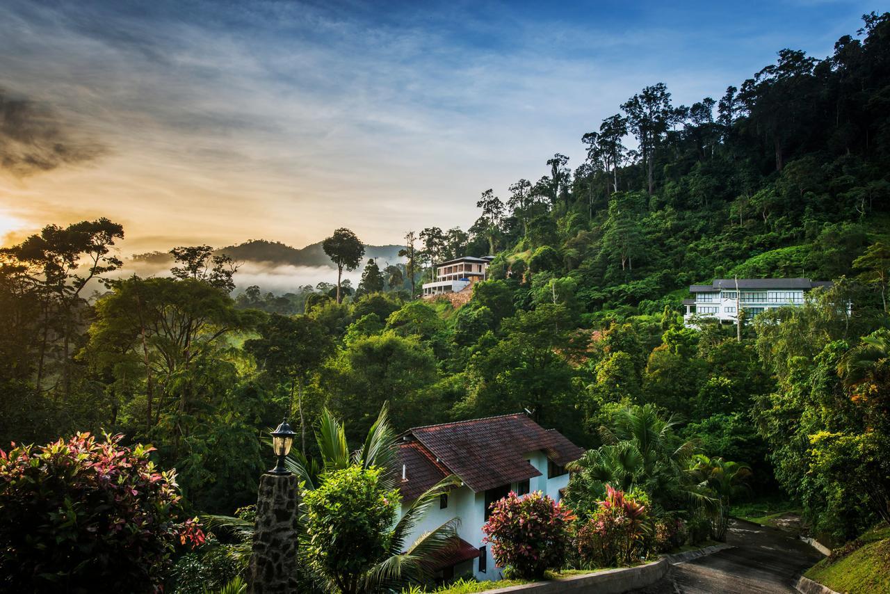 Rest Pause Rainforest Retreat Bentong Exterior foto