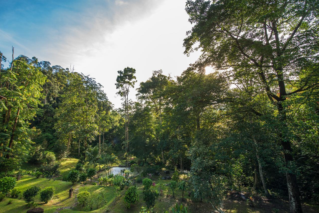 Villa Rest Pause Rainforest Retreat Bentong Exterior foto