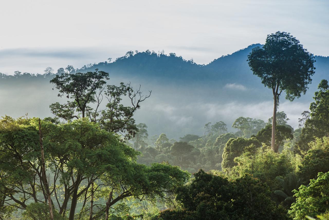 Rest Pause Rainforest Retreat Bentong Exterior foto